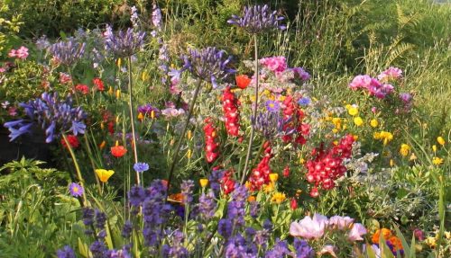 1-1K-JPEG-60-1K-JPEG