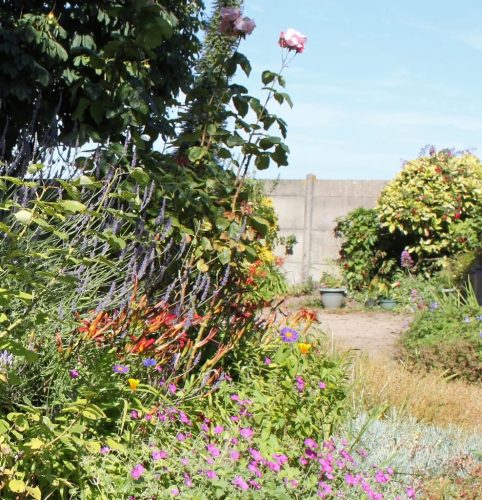 1-1K-JPEG-61-1K-JPEG (1) (1)