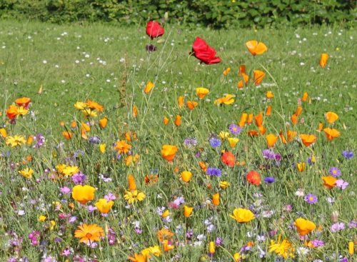 1-1K-JPEG-63-1K-JPEG (1) (1)