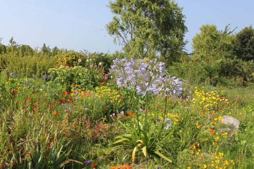 1-1K-JPEG-65-1K-JPEG (1) (1)