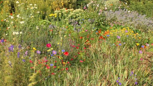 1-1K-JPEG-66-1K-JPEG (1) (1)