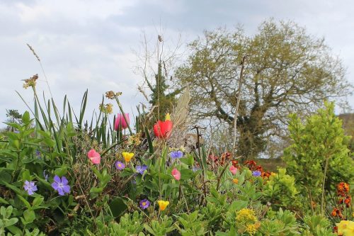 1-1K-JPEG-68-1K-JPEG (1) (1)