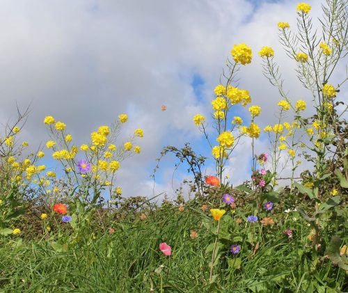 1-1K-JPEG-69-1K-JPEG (1) (1)