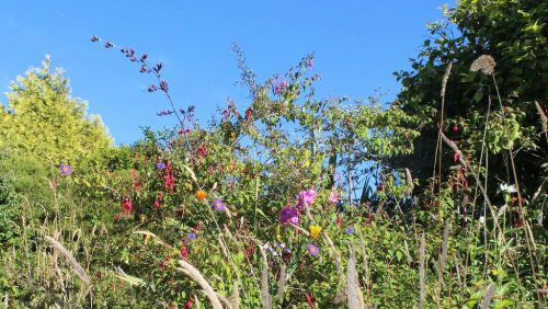 1-1K-JPEG-71-1K-JPEG (1)