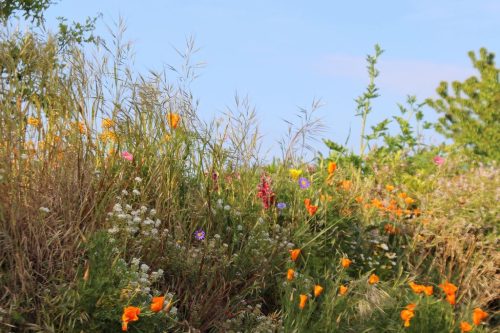 1-1K-JPEG-73-1K-JPEG (1)