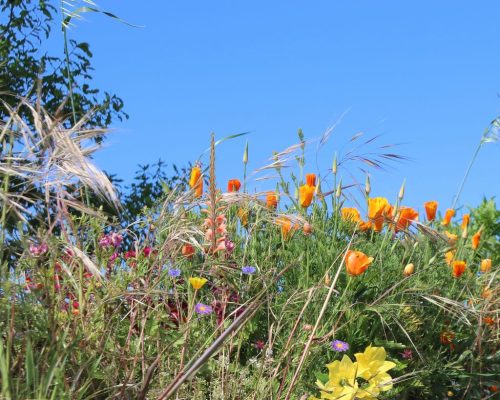 1-1K-JPEG-75-1K-JPEG (1)