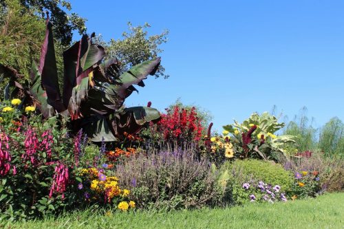 1-1K-JPEG-80-1K-JPEG (1)