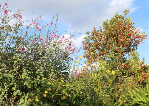 1-1K-JPEG-81-1K-JPEG