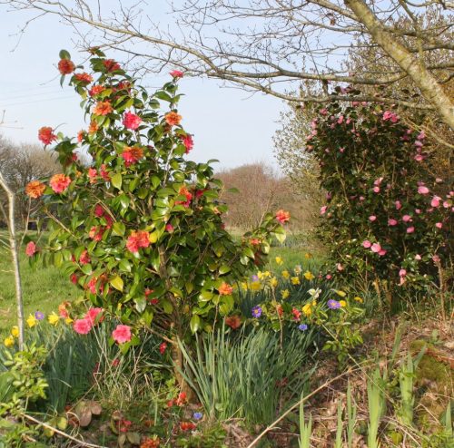 1-1K-JPEG-82-1K-JPEG