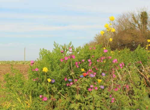 1-1K-JPEG-84-1K-JPEG