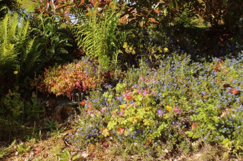 1-1K-JPEG-86-1K-JPEG