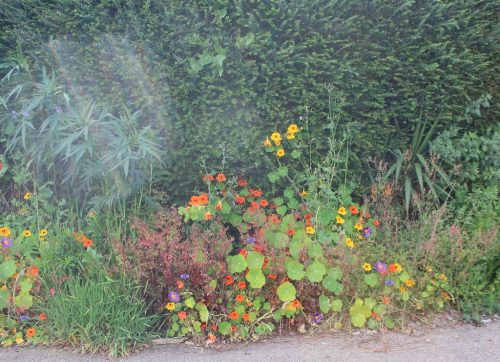 1-1K-JPEG-87-1K-JPEG