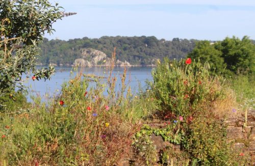 1-1K-JPEG-88-1K-JPEG