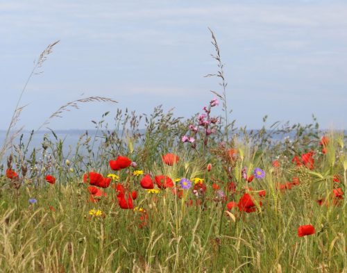 1-1K-JPEG-91-1K-JPEG