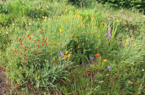 1-1K-JPEG-92-1K-JPEG