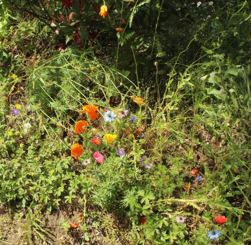 1-1K-JPEG-94-1K-JPEG