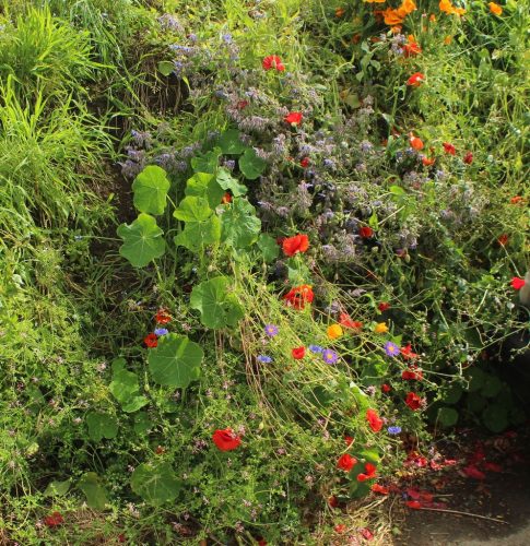 1-1K-JPEG-95-1K-JPEG