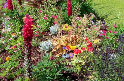 1-1K-JPEG-98-1K-JPEG