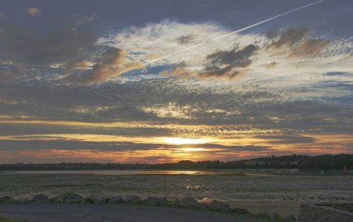 122-11-1K-JPEG (1) (1) (1) (1)