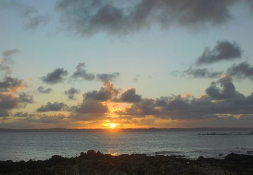 122-20-1K-JPEG (1) (1) (1) (1)