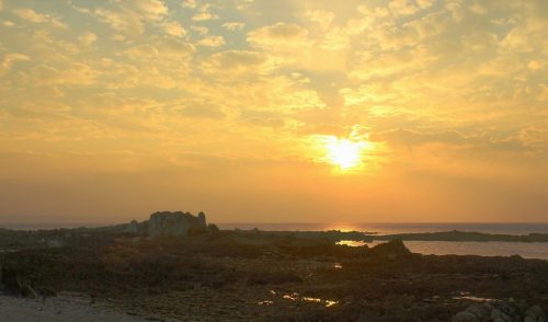 122-281-1K-JPEG (1) (1)