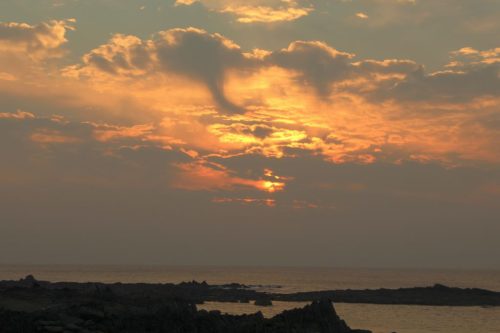 122-282-1K-JPEG (1) (1)