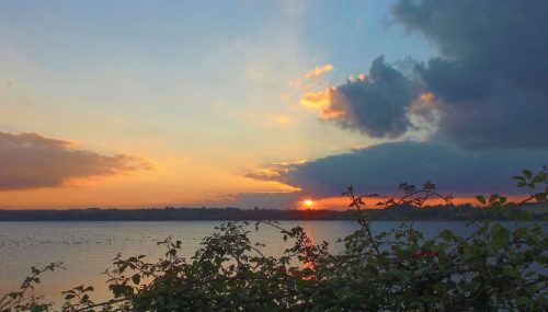 122-283-1K-JPEG (1) (1)