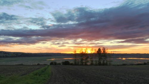 122-291-1K-JPEG (1) (1)
