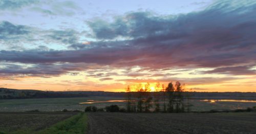 122-294-1K-JPEG (1) (1)