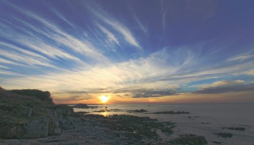 122-299-1K-JPEG (1) (1)